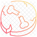 Fossils Skull Bone Icon