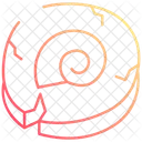 Fossils Skull Bone Icon