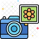 Fotografie  Icon