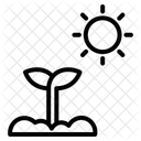 Fotosíntesis  Icono
