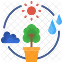 Fotossintese Reducao De Emissoes De Carbono Ecologia E Meio Ambiente Ciclo Do Carbono Clima Estacao Ícone