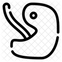 Fötus  Symbol