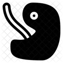 Fötus  Symbol