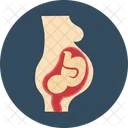 Fotus Baby Fotus Ungeborenes Baby Symbol