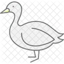 Fou Oiseau Mer Icône