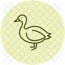 Fou Oiseau Mer Icône