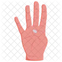 Four Four Counting Four Fingers Icon