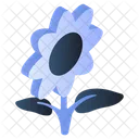 Fower Floweret Blossom Icon