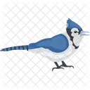 Blue Jay Feather Creature Fowl Icon