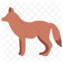 Animal Animal Fox Icon