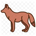 Animal Fox Animal Icon