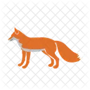 Fox  Icon