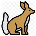 Fox Zoo Animals Icon