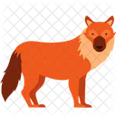Fox Wolf Animal Icon