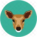Fox Animal Wild Icon