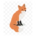 Fox Red Fur Icon