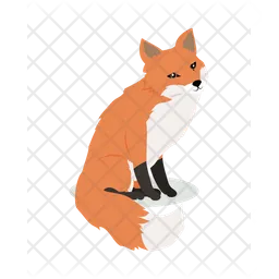 Fox  Icon