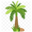 Foxtail palm  Icon