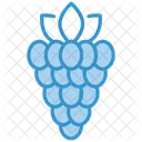 Framboise Icône