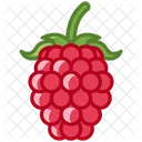 Framboise Fruit Fit Icône