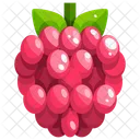 Framboise Icône