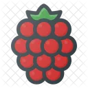 Framboise Sante Alimentation Icône