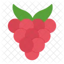 Fruta Comida Saludable Icono