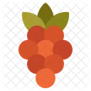 Fruta Comida Saludable Icono