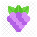 Frambuesa  Icono