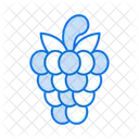 Frambuesa  Icono