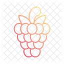 Frambuesa  Icono