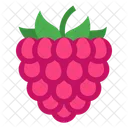 Frambuesa Fruta Baya Icono