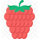 Frambuesa Icono