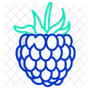 Frambuesa Fruta Comida Icono