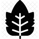 Frambuesa  Icono