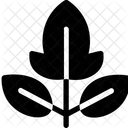 Frambuesa  Icono