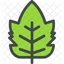 Frambuesa Hoja Naturaleza Icono