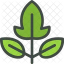 Frambuesa Hojas Hoja Icono