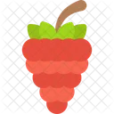 Frambuesa Icono