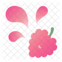 Fruta Splash Frambuesa Icono