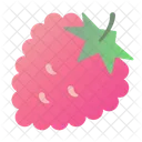 Frambuesa Icono