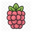 Frambuesa  Icono