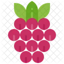 Frambuesa Baya Fruta Icono