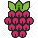 Frambuesa Baya Fruta Icono