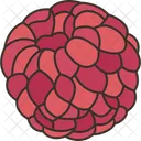 Frambuesa  Icono