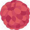 Frambuesa  Icono