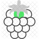 Frambuesa  Icono
