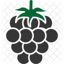 Frambuesa  Icono