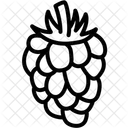 Frambuesa  Icono