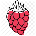 Frambuesa Fruta Comida Icono
